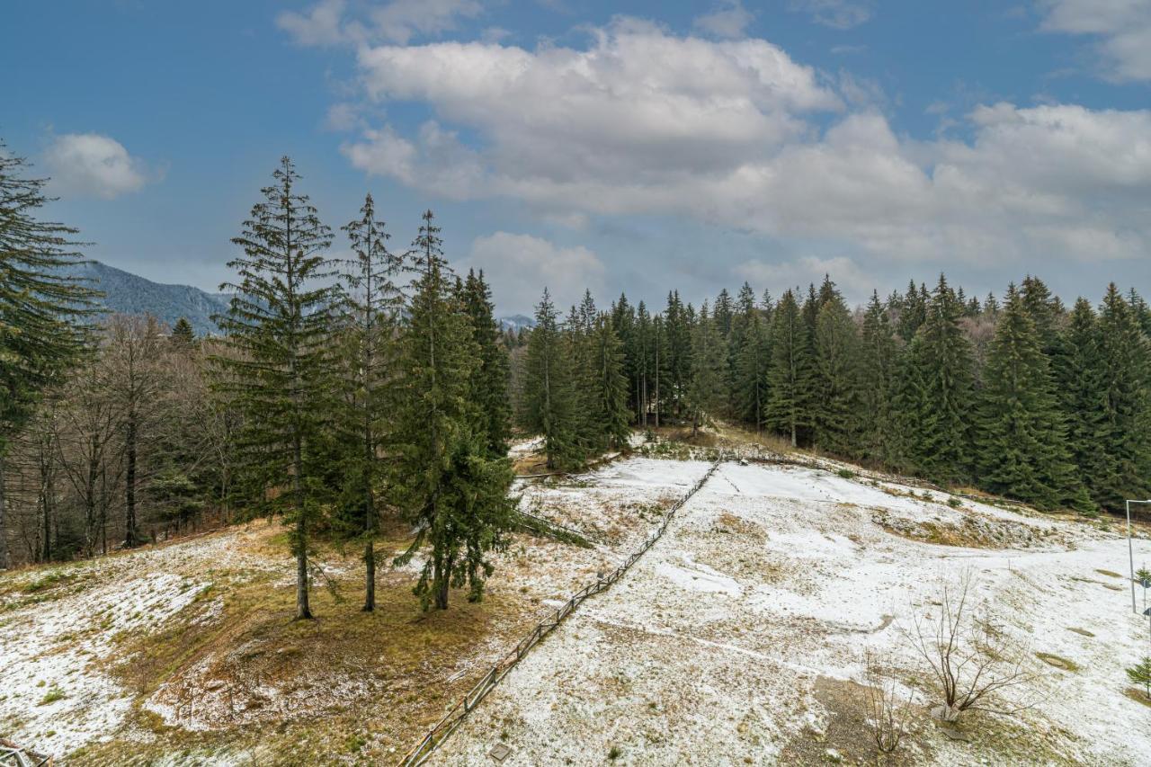 Ambient apartment in Silver Montain - Poiana Brasov Esterno foto